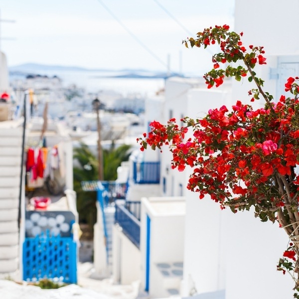 Blog Drumwit | 5 RAZONES PARA HACER UN DRUMWIT ESTA PRIMAVERA