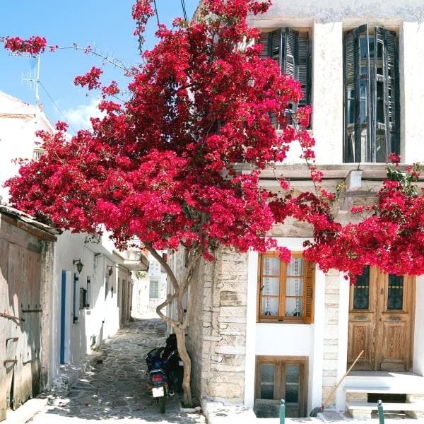 Blog Drumwit | SORTEAZO con @cristipedroche